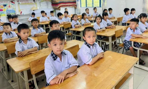 Thực hư chuyện Lâm Đồng dừng dạy tiếng Anh lớp 1, 2