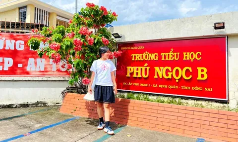 Những mùa tựu trường thương nhớ - Kỳ 3: Nhớ lớp học vách gỗ ở núi đồi Định Quán