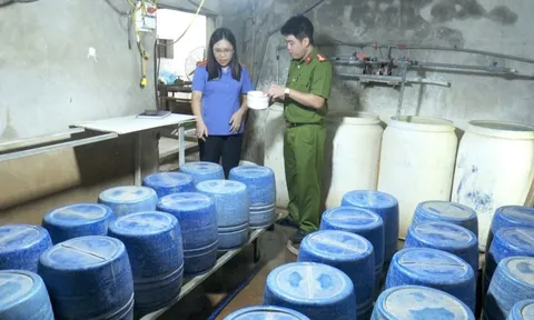 Tự chế 'nước kẹo' làm giá đỗ, trong giá có chất 'không được phép'