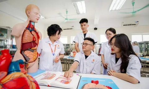 Xây dựng đề án phát triển 3 đến 5 đại học tinh hoa, đẳng cấp thế giới