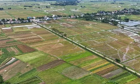 Đất nông nghiệp hết thời hạn sử dụng có cho, tặng được không?