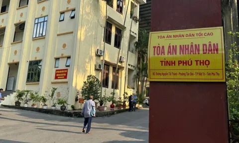 Vụ 11 anh em ruột kiện nhau thừa kế đất: Tòa tuyên bị đơn được sở hữu mảnh đất tranh chấp