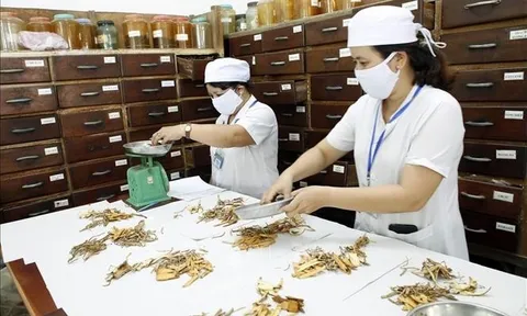 Phát huy hơn nữa vị thế, vai trò của y học cổ truyền trong chăm sóc sức khỏe nhân dân