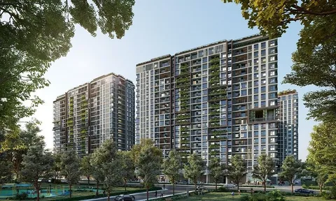 Elysian: Dự án căn hộ tại TP.HCM