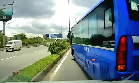 Đình chỉ tài xế xe buýt 56 chuyển làn sai, tạt đầu ô tô nguy hiểm