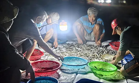 Chợ cá lúc bình minh ven biển Đà Nẵng