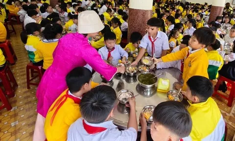 Gia hạn việc tạm đình chỉ hiệu trưởng tại Đà Lạt liên quan vụ 'thực phẩm bẩn'