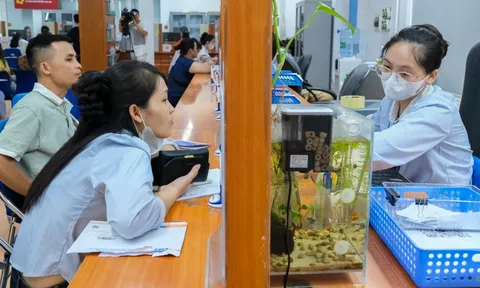 Tăng quyền lợi bảo hiểm thất nghiệp từ 1-1-2026