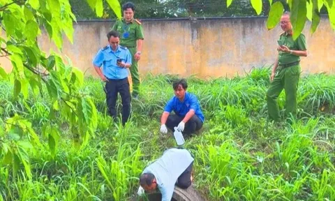 Vi phạm xả nước thải ra môi trường, một công ty ở Vĩnh Long bị xử phạt 345 triệu đồng