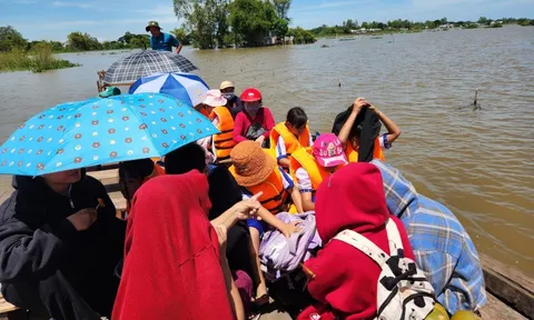 Lũ ngập đường, học sinh vùng biên An Giang được đưa đến trường bằng vỏ lãi