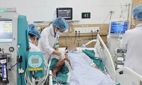 Bị rắn hổ mang cắn nhưng đắp lá điều trị, người đàn ông chết sau 1 tuần