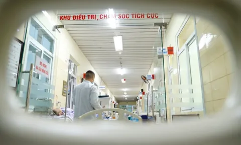 Nhập viện không có người thân, bệnh viện có được từ chối cấp cứu không?