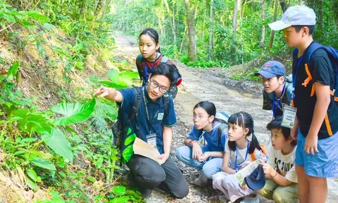 Làm thế nào cho con tuổi thơ hạnh phúc? - Kỳ 4: 'Thả' con vào rừng