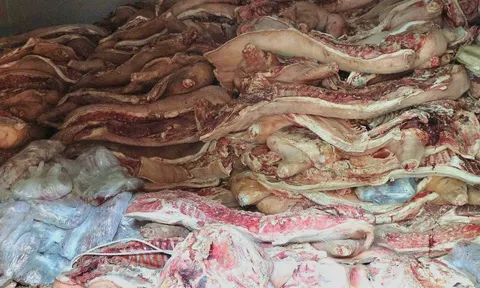 Bắt chủ cơ sở giết mổ trữ đông 40 tấn thịt heo chết, nhiễm bệnh để bán ra thị trường