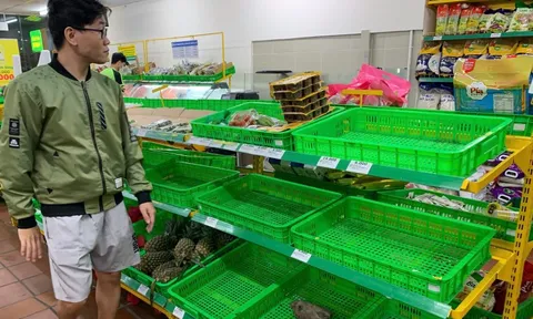 Đà Nẵng: Người dân đổ xô mua thực phẩm tích trữ trước bão, rau xanh 'cháy hàng'