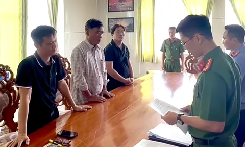Khởi tố Tổng giám đốc Công ty cáp treo Vũng Tàu vì đổ chất thải lấp biển
