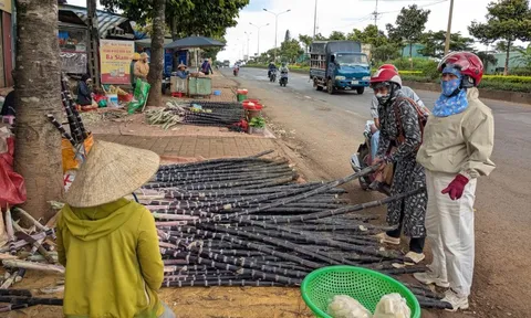 Chợ 9 tỉ bỏ hoang chục năm, chợ tự phát tràn ra quốc lộ 14, tiểu thương 'né' thuê và thuế?