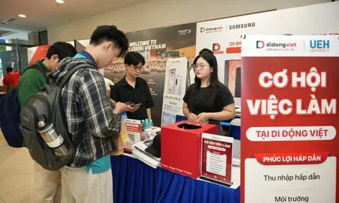 Giữa làn sóng cắt giảm, một nhóm nhân sự trẻ vẫn được doanh nghiệp ‘trải thảm đỏ’ săn đón