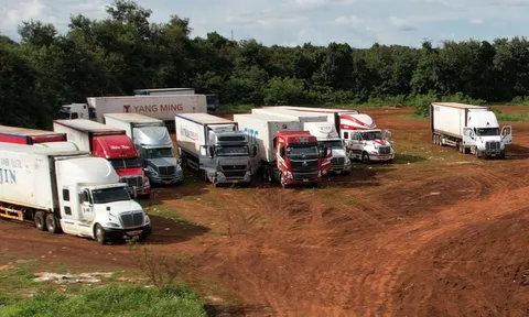 Gần 2.000 container sầu riêng bị ùn ứ, Đắk Lắk lên kế hoạch xây trung tâm kiểm nghiệm