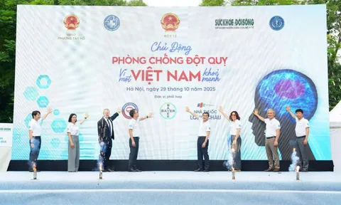 Hợp lực giảm gánh nặng tử vong và tàn phế do đột quỵ