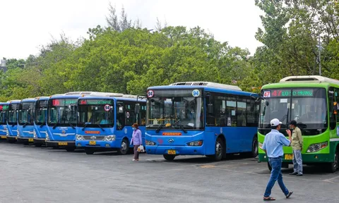 TP.HCM đề xuất thay dần buýt CNG bằng buýt điện, niên hạn tối đa 15 năm