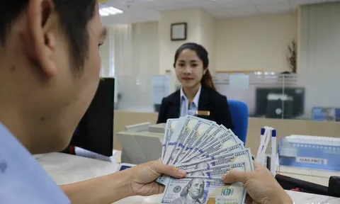 Thanh, kiểm tra hoạt động mua bán ngoại tệ của các tổ chức tín dụng