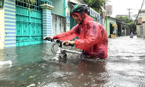 Khánh Hòa kêu gọi tàu thuyền tránh bão Kalmaegi, các xã ven biển sẵn sàng ứng phó