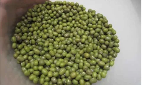 Chuyên gia hướng dẫn bữa ăn đủ chất trong thời kỳ 'bão giá'