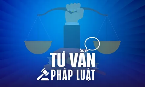 Phát hiện đất của mình bị người khác làm sổ đỏ và thế chấp, phải làm sao?