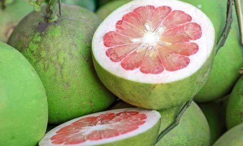 Bưởi - loại trái ngon nhiều lợi ích cho sức khỏe