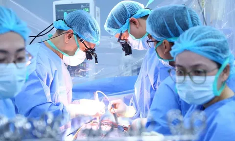 Trái tim người lớn 'vượt' 1.600km cứu sống cậu bé 9 tuổi