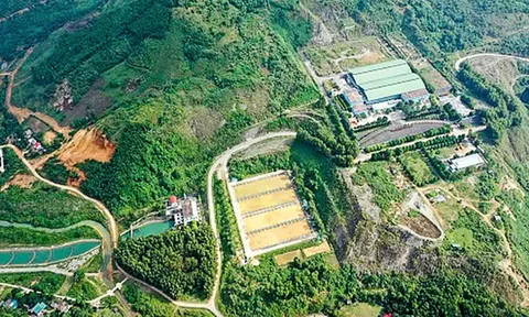 Ủy ban Chứng khoán hủy tư cách đại chúng với Nước sạch Sông Đà và Bibica