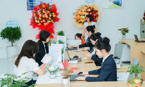 PG Green- tín dụng xanh cho tương lai bền vững