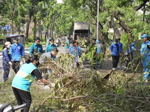 Nhìn lại cây xanh Hà Nội sau bão số 3