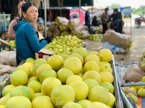 Độc đáo phiên chợ 'đệ nhất danh quả' nức tiếng Hà Tĩnh