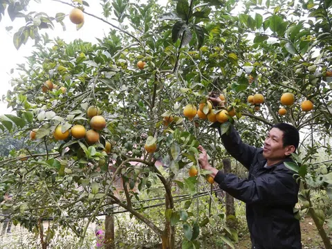 Huyện Bảo Yên, Lào Cai nỗ lực thực hiện hiệu quả chương trình giảm nghèo bền vững