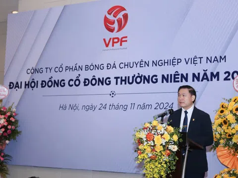 VPF báo cáo doanh thu dự kiến tăng 113% trong năm 2024