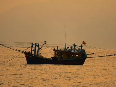 Cẩn trọng mua trúng tour câu mực, săn cá 'chui'