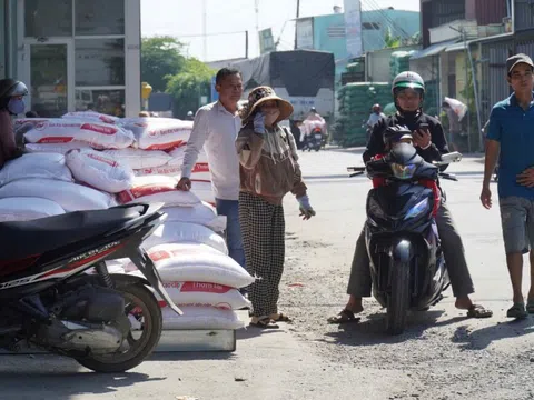 Lý do người dân đổ xô đi mua gạo