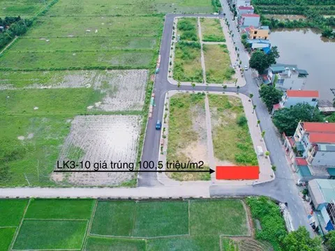 Hà Nội: Đấu giá thành công 54 lô đất bị bỏ cọc