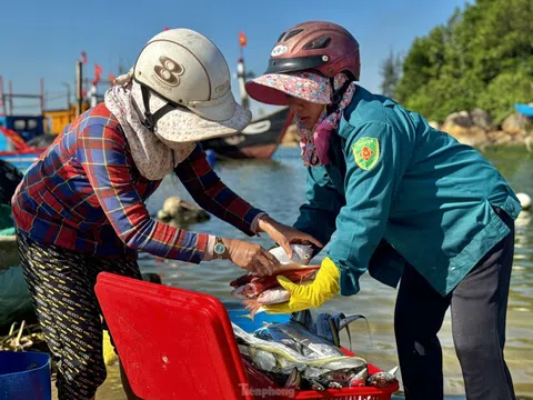 Quảng Ngãi: Bình minh ở làng chài Sơn Trà