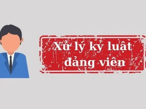 Ban Bí thư xem xét, thi hành kỷ luật đảng viên