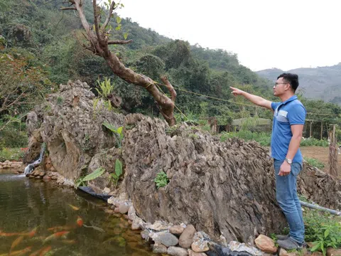 Chiêm ngưỡng khối đá giống gốc cây khổng lồ hóa thạch, được trả giá đến 18 tỷ đồng