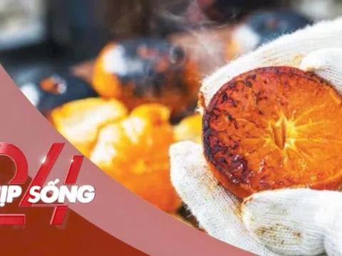 NHỊP SỐNG 24: Món ăn trong phim 'Khi cuộc đời cho bạn quả quýt' gây sốt