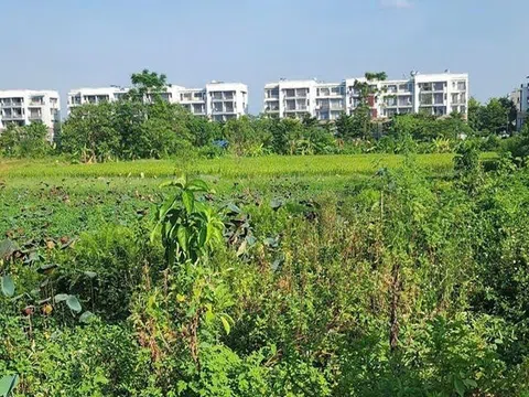 Vĩnh Phúc thu hồi gần 1,1ha đất của 14 hộ để làm dự án đô thị