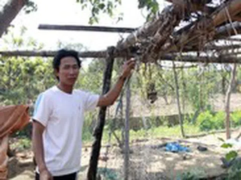 Giáo viên thắng kiện khốn khổ chờ bồi thường suốt 3 năm