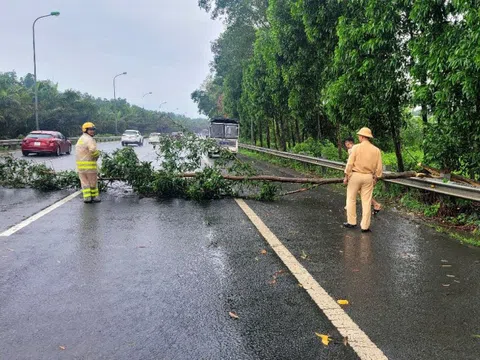 65 vụ tai nạn giao thông xảy ra trong ngày thứ hai nghỉ lễ