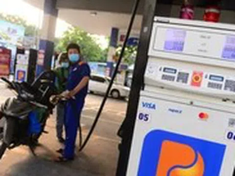 Lợi nhuận Petrolimex lao dốc, đang có gần 28.000 tỉ gửi ngân hàng, 'rót' vào trái phiếu