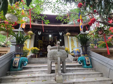 Hà Nội: Cận cảnh khu đất sẽ thu hồi của 61 hộ dân để thực hiện dự án Tu bổ, tôn tạo di tích lịch sử Gò Đống Thây