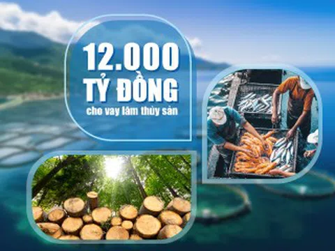 VietinBank nâng quy mô gói tín dụng, đẩy mạnh đầu tư lĩnh vực lâm, thủy sản